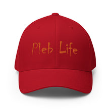 Carregar imagem no visualizador da galeria, Pleb Life Bitcoin @swedetoshi inspired Structured Twill Cap| digital-mining-llc.myshopify.com