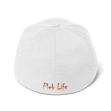 Load image into Gallery viewer, HAVE FUN STAYING POOR ACRONYM Structured Twill Cap